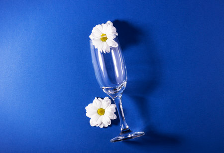 white flower inside a glass champagne glass, on a blue background. easy style, the concept is simple itemsの写真素材
