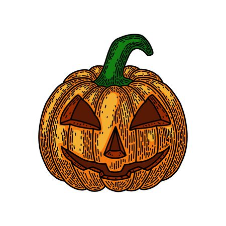 Halloween pumpkin isolated on white background. Old vintage style hand drawing engraved. Design element for banner, menu, poster, web.のイラスト素材