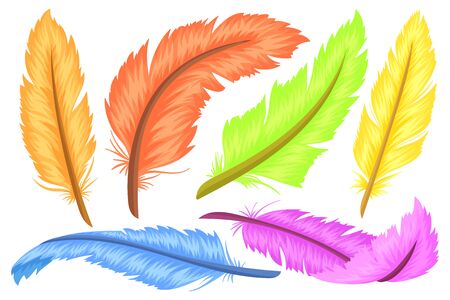 Set of colorful feathers, different shapes and colors. Cartoon and flat style. Vector illustration isolated on white background.のイラスト素材