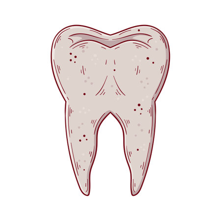 Human tooth hand drawn cartoon simple vector illustration. medicine and anatomy.のイラスト素材