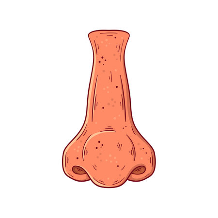 Human nose hand drawn cartoon simple vector illustration. medicine and anatomy.のイラスト素材