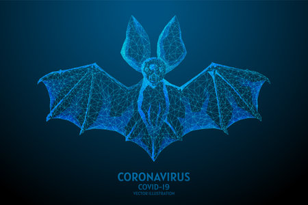 Bat is a carrier and spread of the virus infection of the Chinese coronavirus COVID-19. Carrier of infectious atypical pneumonia. SARS-CoV-2 pandemic. Low poly wire frame isolated vector illustration.のイラスト素材