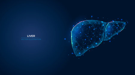 Futuristic abstract symbol of the human liver. Concept for the treatment of cirrhosis, a hepatitis disease. Low poly 3d wallpaper background vector illustration.のイラスト素材