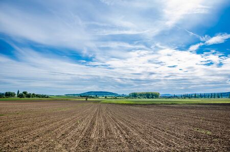beautiful green fields in Germanyの写真素材