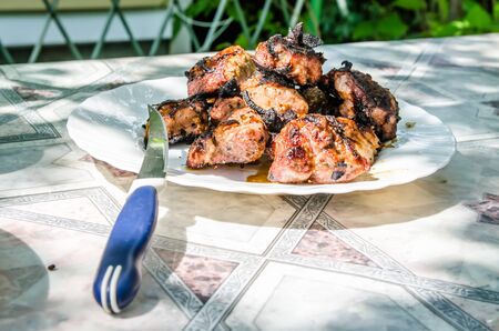 cooked kebab lies on a plate with a knife outdoorsの写真素材