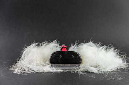 Labrador dog hair during molting, Brush. Black backgroundの写真素材