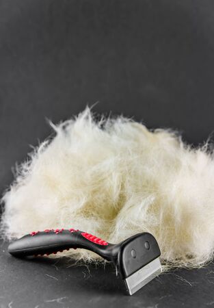 Labrador dog hair during molting, Brush. Black backgroundの写真素材