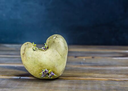 sprouted potatoes in the form of a heart on a brown wooden background with copy spaceの写真素材