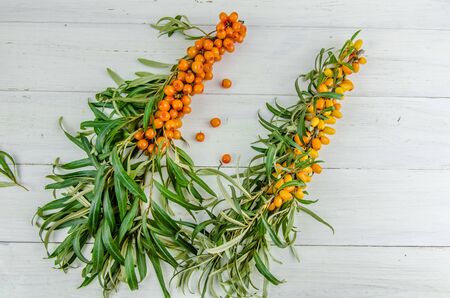 background with a branch and berries of orange buckthorn on white background with copy spaceの写真素材
