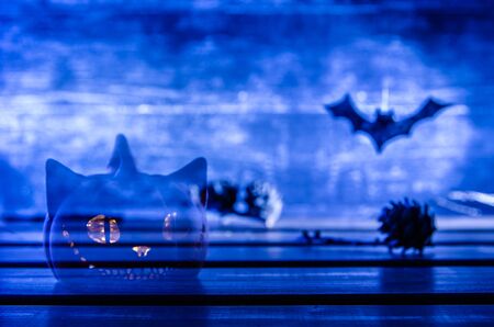 background for Halloween. transparent Pumpkin Cheshire cat. Bat. copy space