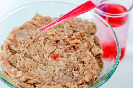 meat on a white background. experiments, chemistry, artificial production