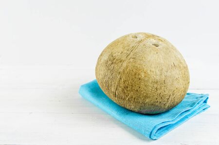 coconut on a white background copy spaceの写真素材