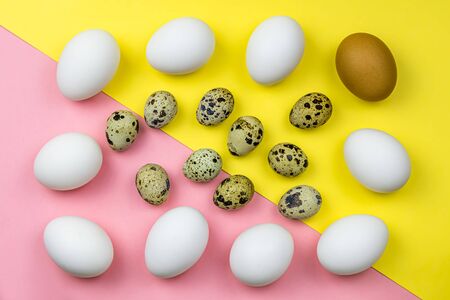 Pattern of white natural eco organic hen eggs and quail eggs organized on colored paper backgroundの写真素材