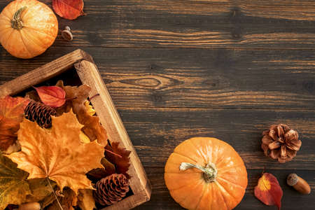autumn leaves, pumpkin and cones on a wooden background.の写真素材