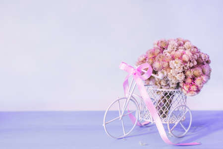 Retro bicycle with basket of pink flowers on light background.の写真素材