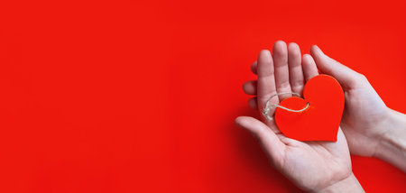 banner hands hold red heart against red backgroundの写真素材