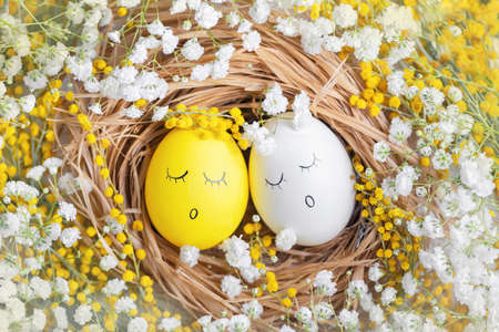 easter yellow and white eggs in nest among white and yellow flowersの写真素材