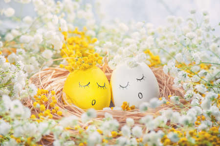 easter yellow and white eggs in nest among white and yellow flowers