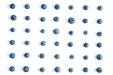 pattern of blue blueberries on a white background