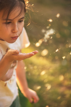 dandelions fly off the hands of a cute girlの写真素材