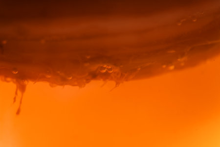 Kombucha mushroom for homemade natural organic fermented beverageの写真素材