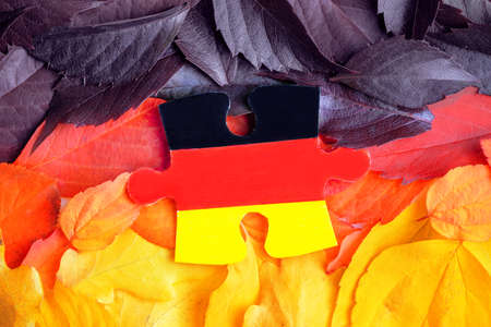 multi-colored autumn leaves, yellow, red, dark. autumn backgroundの写真素材