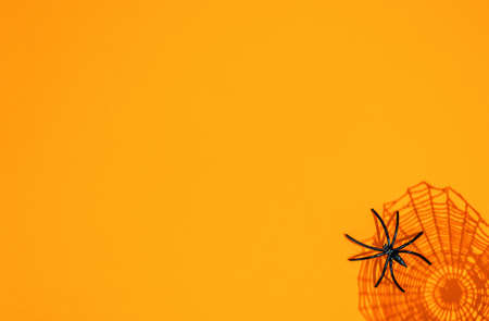 orange halloween background. shadow of web and black spiderの写真素材