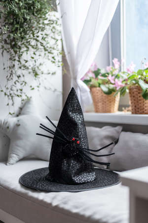 Halloween. witch hat with spider on the couch