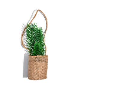 spruce branches in a canvas bag on a white backgroundの写真素材