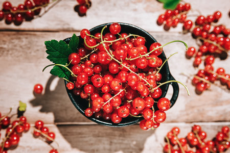 red currants in a bowl on a wooden backgroundの写真素材