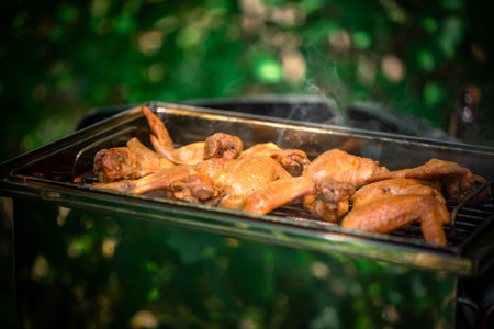 chicken wings smoked in a home smoker outdoorrsの写真素材