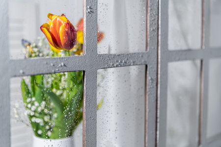 tulips in a white watering can by the window on a white background. spring, sunshineの写真素材