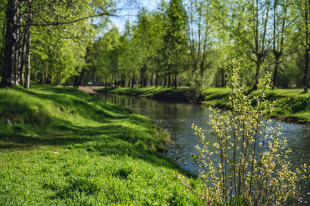 beautiful river in the city in summerの写真素材
