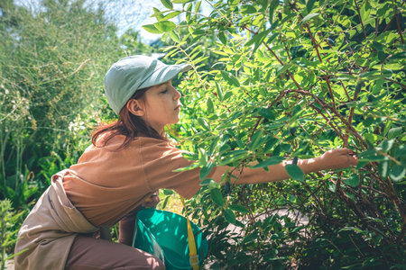 Cute girl in the garden in the summer picks honeysuckle from a bushの写真素材