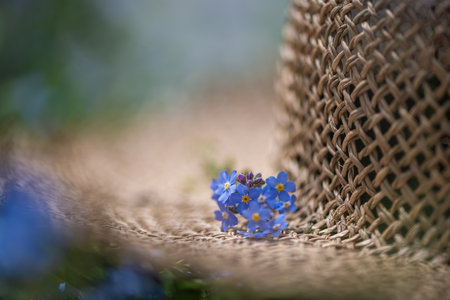 blue forget-me-not flowers on a straw hat. nature, summertime, sunlightの写真素材