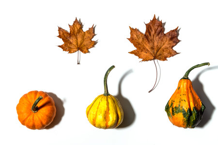 Three different pumpkins on a white background. Concept autumn, harvestの写真素材