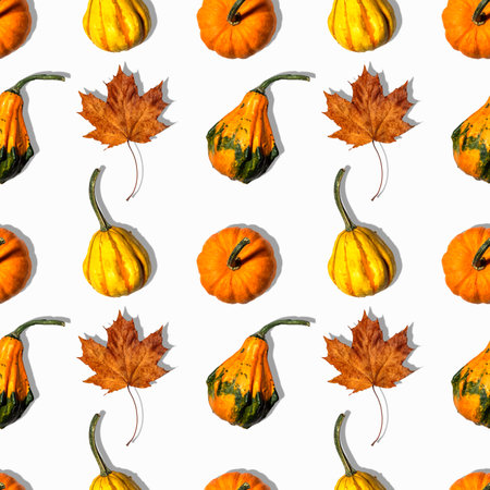 seamless pattern pumpkins on a white background. Concept autumn, harvestの写真素材