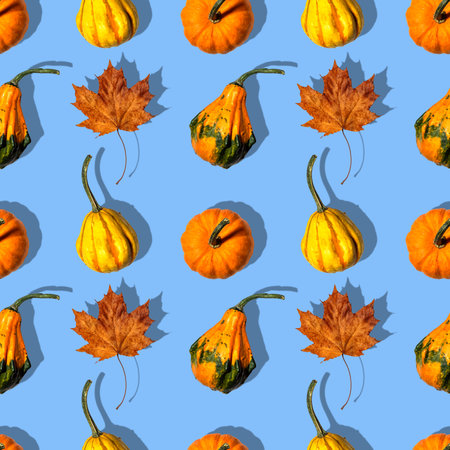 seamless pattern pumpkins on a blue background. Concept autumn, harvestの写真素材