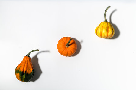 Three different pumpkins on a white background. Concept autumn, harvestの写真素材