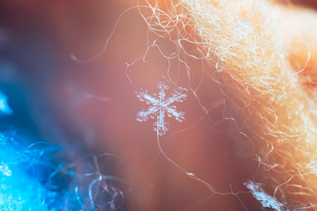 Macro photography. Beautiful snowflakes on the bristles in winterの写真素材
