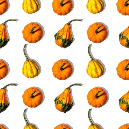Seamless pattern with pumpkins on a white background. Top view.の写真素材