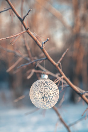 Christmas ball on tree outdoors, creative photo, new year, christmas. Selective focusの写真素材