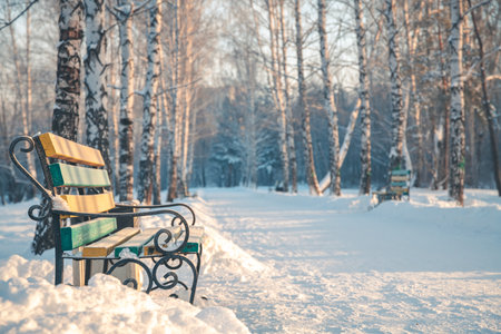 Bench in the park. Winter, cold, frost and snowの写真素材
