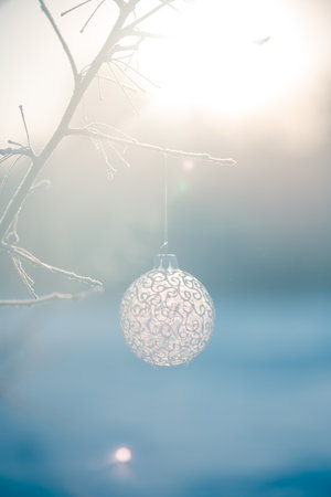 Christmas ball on tree outdoors, creative photo, new year, christmas. Selective focusの写真素材
