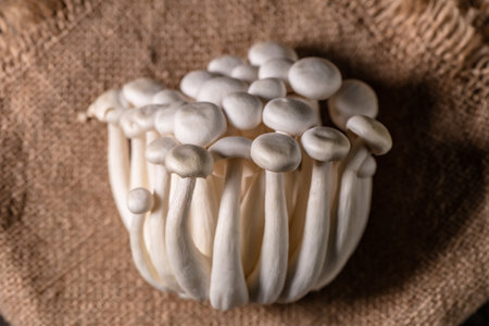 Closeup of a bunch of shimeji mushrooms on canvas background, top view, superfood, a type of delicious oyster mushroom, healthy foodの写真素材