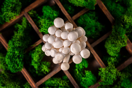 Closeup of a bunch of shimeji mushrooms in a wooden container, surrounded by green moss, superfood,...