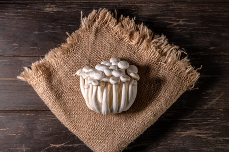 Closeup of a bunch of shimeji mushrooms on canvas and wooden background, top view, superfood, a type of delicious oyster mushroom, healthy foodの写真素材