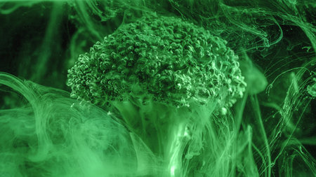 Fresh broccoli with a cloud of green color paint on black background in water. Artistic nutrition concept. Science of food action photography. Creative concept of vegetarianism, benefits of vegetablesの写真素材
