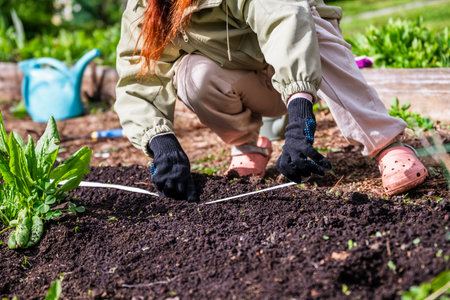 A teen girl helps plant carrot seeds in the ground with a seed tape