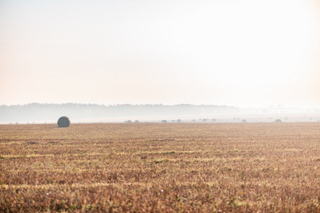 Autumn morning, fog. fields with round haystacksの写真素材